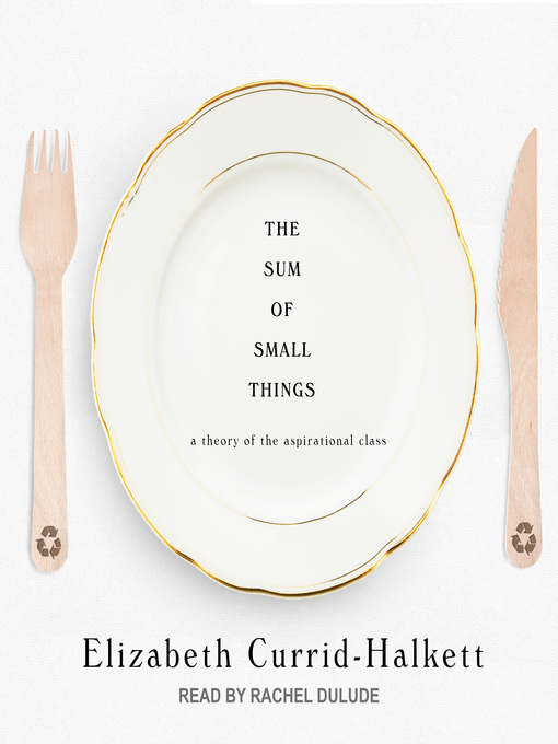 Title details for The Sum of Small Things by Elizabeth Currid-Halkett - Wait list